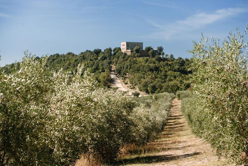 Tenuta Di Forte Sorgnano Gualdo Cattaneo Екстер'єр фото