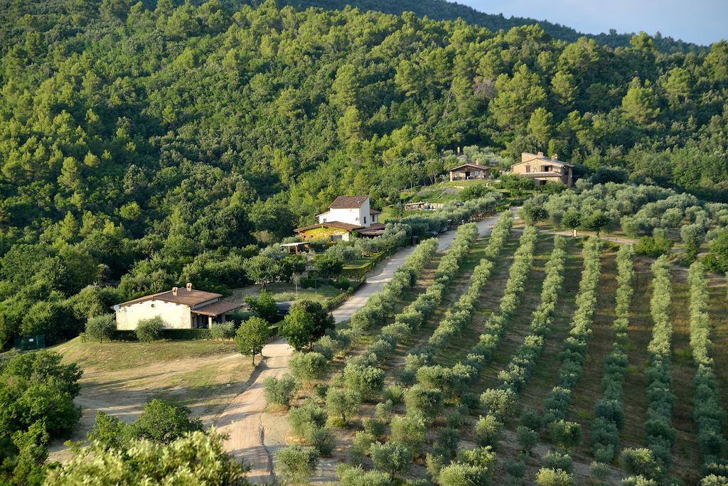 Tenuta Di Forte Sorgnano Gualdo Cattaneo Екстер'єр фото